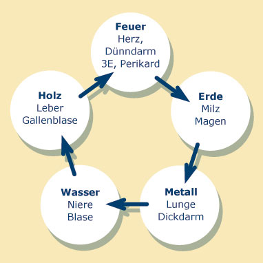 Die Fünf Wandlungsphasen der TCM